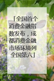 全国首个消费金融指数发布，成都消费金融市场环境列全国第六
