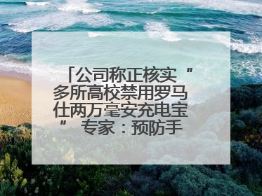 公司称正核实“多所高校禁用罗马仕两万毫安充电宝” 专家：预防手机没电选中等体积产品即可