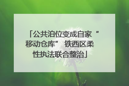 公共泊位变成自家“移动仓库” 铁西区柔性执法联合整治