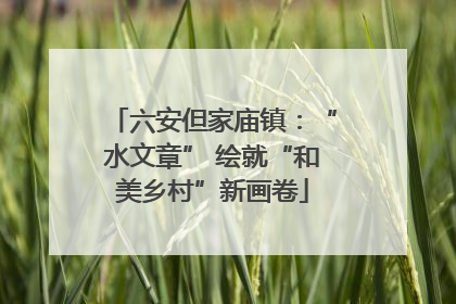 六安但家庙镇：“水文章” 绘就“和美乡村”新画卷
