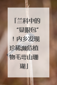 兰科中的“显眼包”！内乡发现珍稀濒危植物毛萼山珊瑚