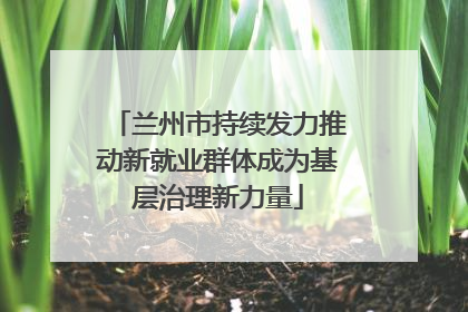 兰州市持续发力推动新就业群体成为基层治理新力量