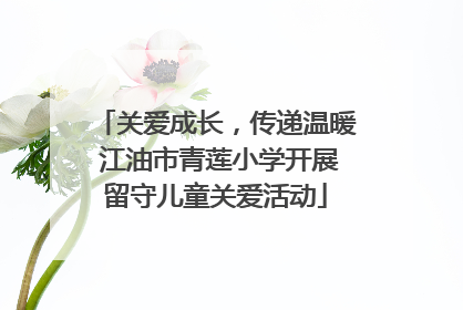 关爱成长，传递温暖 江油市青莲小学开展留守儿童关爱活动