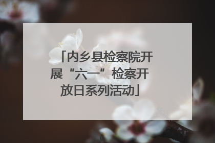 内乡县检察院开展“六一”检察开放日系列活动