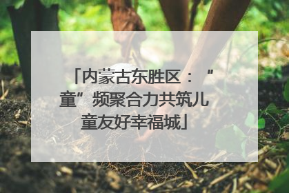 内蒙古东胜区：“童”频聚合力共筑儿童友好幸福城