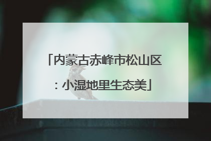 内蒙古赤峰市松山区：小湿地里生态美