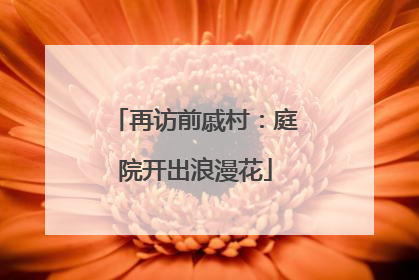 再访前戚村：庭院开出浪漫花