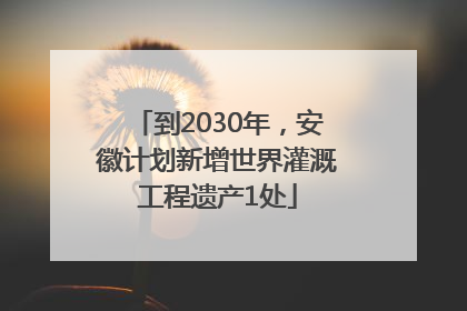 到2030年，安徽计划新增世界灌溉工程遗产1处