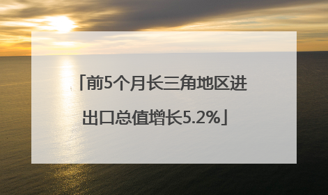 前5个月长三角地区进出口总值增长5.2%