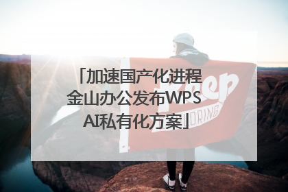 加速国产化进程 金山办公发布WPS AI私有化方案