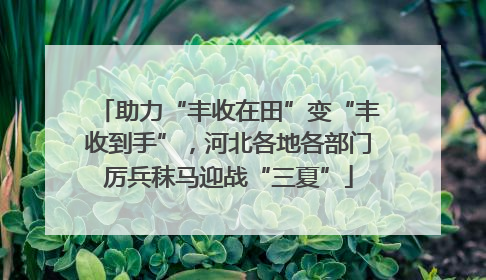 助力“丰收在田”变“丰收到手”，河北各地各部门厉兵秣马迎战“三夏”