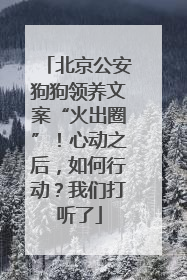 北京公安狗狗领养文案“火出圈”！心动之后，如何行动？我们打听了