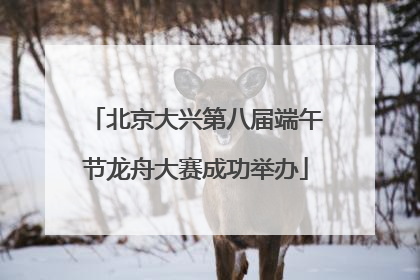北京大兴第八届端午节龙舟大赛成功举办