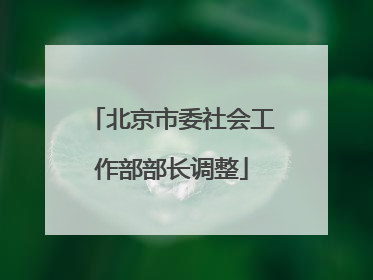 北京市委社会工作部部长调整
