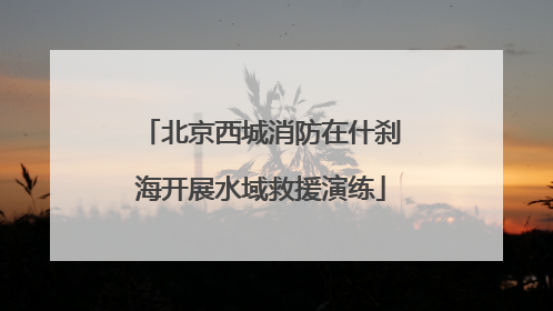 北京西城消防在什刹海开展水域救援演练