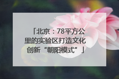 北京：78平方公里的实验区打造文化创新“朝阳模式”