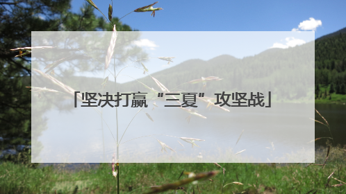 坚决打赢“三夏”攻坚战