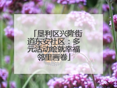垦利区兴隆街道东安社区：多元活动绘就幸福邻里画卷