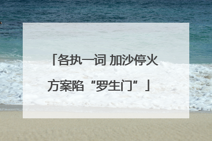 各执一词 加沙停火方案陷“罗生门”