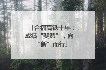 合福高铁十年：成绩“斐然”，向“新”而行