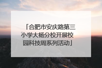 合肥市安庆路第三小学大杨分校开展校园科技周系列活动