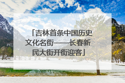 吉林首条中国历史文化名街——长春新民大街开街迎客