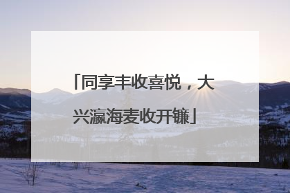 同享丰收喜悦，大兴瀛海麦收开镰