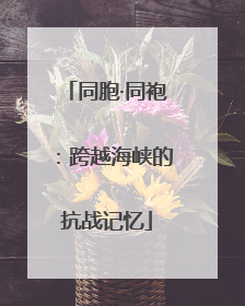 同胞·同袍：跨越海峡的抗战记忆