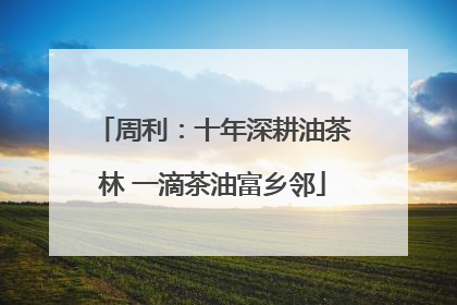 周利：十年深耕油茶林 一滴茶油富乡邻