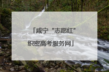 咸宁“志愿红”织密高考服务网