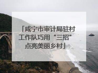 咸宁市审计局驻村工作队巧用“三招”点亮美丽乡村