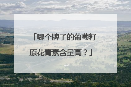 哪个牌子的葡萄籽原花青素含量高？