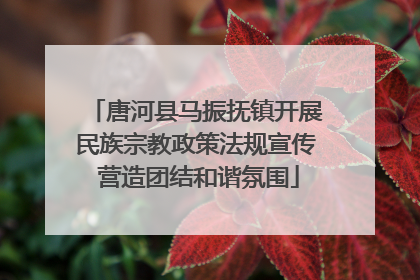 唐河县马振抚镇开展民族宗教政策法规宣传 营造团结和谐氛围