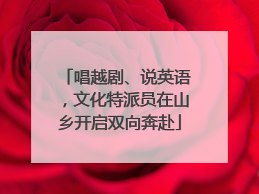 唱越剧、说英语，文化特派员在山乡开启双向奔赴