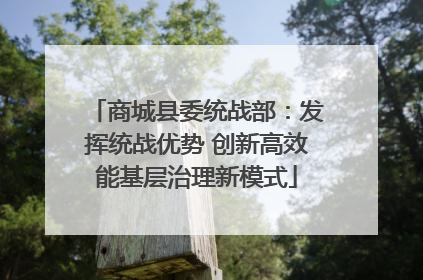 商城县委统战部：发挥统战优势 创新高效能基层治理新模式