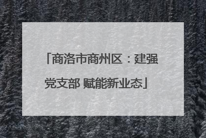 商洛市商州区：建强党支部 赋能新业态