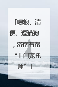 喂粮、清便、逗猫狗，济南有帮“上门宠托师”