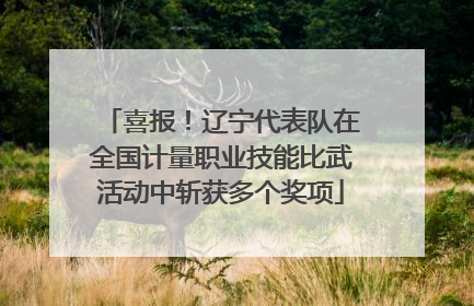 喜报！辽宁代表队在全国计量职业技能比武活动中斩获多个奖项