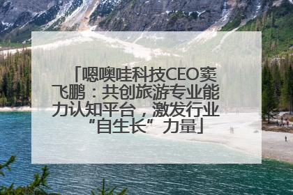 嗯噢哇科技CEO窦飞鹏：共创旅游专业能力认知平台，激发行业“自生长”力量