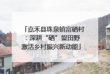 嘉禾县珠泉镇富硒村：深耕“硒”望田野 激活乡村振兴新动能