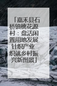 嘉禾县石桥镇桃花源村：盘活闲置用地发展针织产业 织就乡村振兴新图景