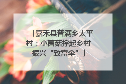 嘉禾县普满乡太平村：小菌菇撑起乡村振兴“致富伞”