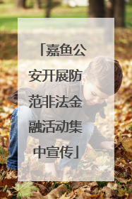 嘉鱼公安开展防范非法金融活动集中宣传
