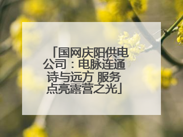 国网庆阳供电公司：电脉连通诗与远方 服务点亮露营之光