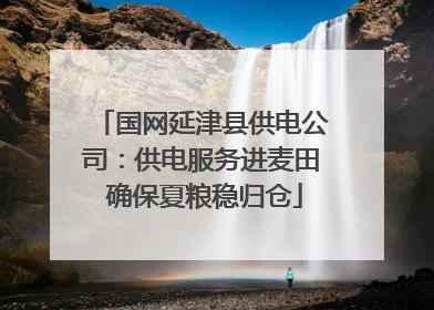 国网延津县供电公司：供电服务进麦田 确保夏粮稳归仓