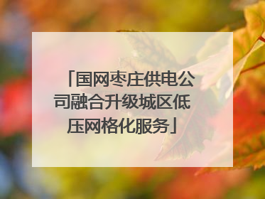 国网枣庄供电公司融合升级城区低压网格化服务