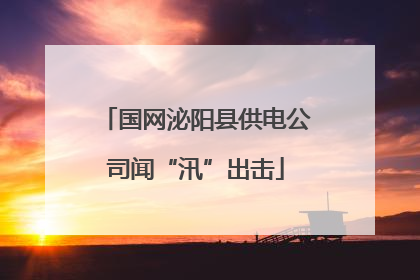 国网泌阳县供电公司闻“汛”出击