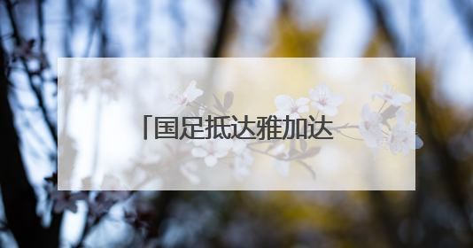 国足抵达雅加达备战与印尼队的世预赛18强赛