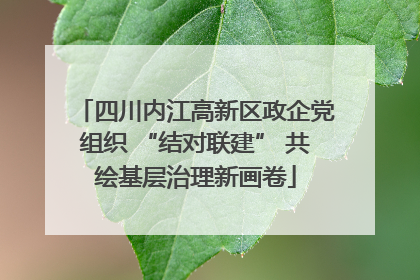 四川内江高新区政企党组织 “结对联建” 共绘基层治理新画卷