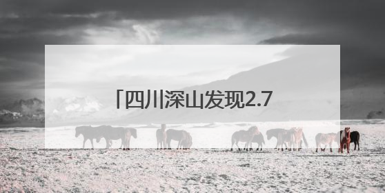 四川深山发现2.7公里茶马古道：立有石碑，杨慎、奢香夫人或都走过这条路